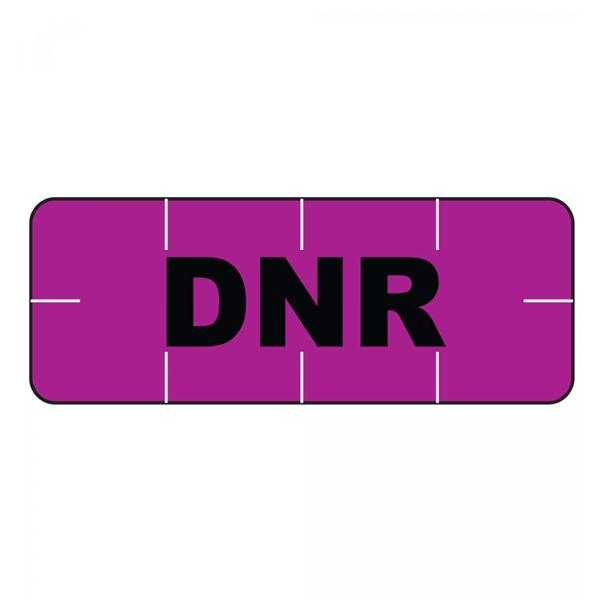 Label Wristband Purple 250/Rl